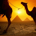 Groepsreizen Egypte